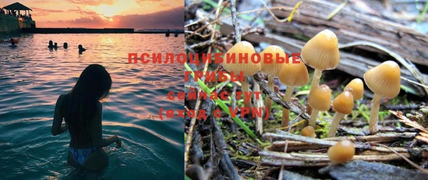 ПСИЛОЦИБИНОВЫЕ ГРИБЫ Абдулино